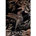 Royal & Langnickel® | Engraving Art™ Scratch Pictures — standard-sets, Hummingbird
