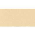 Canson Ingres Vidalon gekleurd papier 100 gr, Ivoor 048