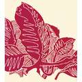 Encre lithographique Gerstaecker, Rouge rubis