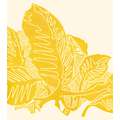 Encre lithographique Gerstaecker, Jaune benzedrine