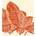 Encre lithographique Gerstaecker, Orange benzedine