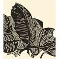Encre lithographique Gerstaecker, Noir de carbone