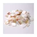 Tesselles mosaique en nacre, 10x10mm-50g