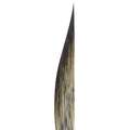 Striper Da Vinci, Pointe longue forme sabre, série 703, 1, 8,50