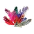 Sachet de plumes naturelles, pintade assorties
