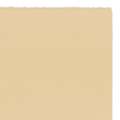 Papier Velin aux 4 bords frangés BFK Rives, 56 cm x 76 cm, Feuille, 280 g/m², 4 bords frangés - Tan