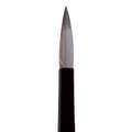 morepic-5