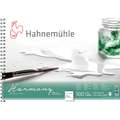 Hahnemühle | Harmony aquarelpapier, satiné, A3, 29,7 cm x 42 cm, 300 g/m², blok, spiraalgebonden