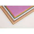 CLAIREFONTAINE TULIPE knutselpapier, 24-delig assortiment: pastelkleuren, A3, 29,7 cm x 42 cm, 160 g/m², glad|grof