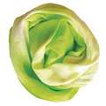 VIVA DECOR | textielverf, May green