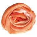 VIVA DECOR | textielverf, Orange