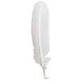 Plume d’oie Jacques Herbin, Blanc, 23 cm