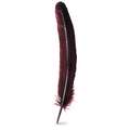 Plume d’oie Jacques Herbin, bordeaux, 28 cm