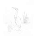 morepic-5