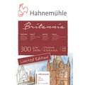 Bloc aquarelle Hahnemühle Britannia Édition Limitée, 17 cm x 24 cm, 300 g/m², Mat