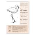 Leniar® | Schetsblok — crêmekleurig papier, A5, 14,8 cm x 21 cm, 60 g/m², mat, 1. Blok (kopsgelijmd) met 50 vel