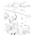 morepic-6