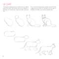 morepic-9