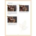 morepic-10