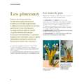 morepic-5