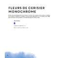 morepic-5