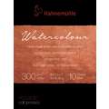 The Collection aquarelle Hahnemühle, 8 cm x 10,5 cm, Bloc de 12 feuilles, 300 g/m², Mat
