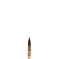 WINSOR & NEWTON™ | Verwaspenseel — eekhoornhaar, 000