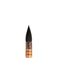 WINSOR & NEWTON™ | Verwaspenseel — eekhoornhaar, 5