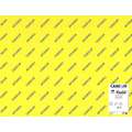 CANSON® | Iris® Vivaldi® knutselpapier ○ gekleurd, 50 x 65 cm - felle kleuren, 50 cm x 65 cm, pak met 120 vellen