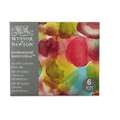 WINSOR & NEWTON™ | PROFESSIONAL™ aquarelverf — 6-sets, 6 kleuren — Mindful colours