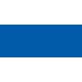 Marqueur Bic Marking Onyx 1481, Bleu