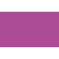 Pentel | POINTLINER Colour Dye S40 pens — individual, Fuchsia, 0,4 mm, pen / potlood,  los