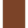 Papier de couleur Folia, 50 x 70 cm - 300 g/m², Brun chocolat
