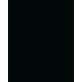Papier de couleur Folia, 50 x 70 cm - 300 g/m², Noir