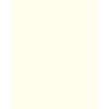 Papier de couleur Folia, 50 x 70 cm - 300 g/m², Blanc perle