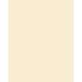 Papier de couleur Folia, 50 x 70 cm - 300 g/m², Beige
