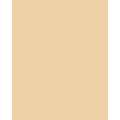 Papier de couleur Folia, 50 x 70 cm - 300 g/m², Chamois