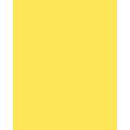 Papier de couleur Folia, 50 x 70 cm - 300 g/m², Jaune citron
