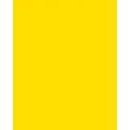 Papier de couleur Folia, 50 x 70 cm - 300 g/m², Jaune banane