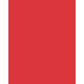 Papier de couleur Folia, 50 x 70 cm - 300 g/m², Hibiscus