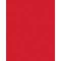 Papier de couleur Folia, 50 x 70 cm - 300 g/m², Rouge clair
