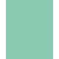 Papier de couleur Folia, 50 x 70 cm - 300 g/m², Menthe
