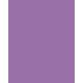 Papier de couleur Folia, 50 x 70 cm - 300 g/m², Lilas