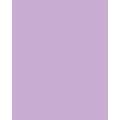 Papier de couleur Folia, 50 x 70 cm - 300 g/m², Violet