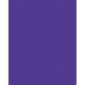 Papier de couleur Folia, 50 x 70 cm - 300 g/m², Violet foncé