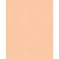 Papier de couleur Folia, 50 x 70 cm - 300 g/m², Abricot