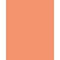 Papier de couleur Folia, 50 x 70 cm - 300 g/m², Saumon