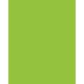 Papier de couleur Folia, 50 x 70 cm - 300 g/m², Vert de mai