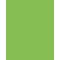 Papier de couleur Folia, 50 x 70 cm - 300 g/m², Vert clair