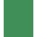 Papier de couleur Folia, 50 x 70 cm - 300 g/m², Vert mousse
